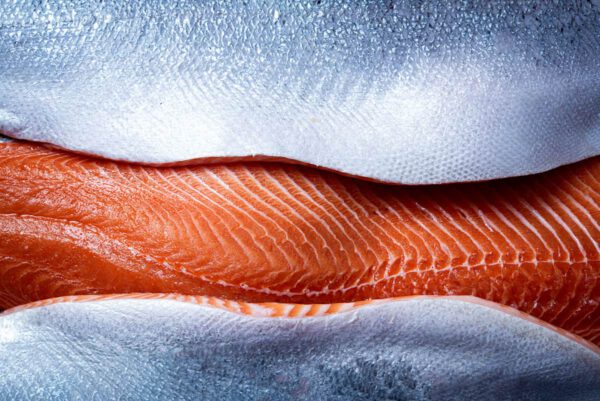 Fresh Norwegian Salmon Fillet
